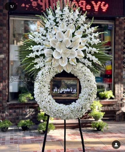 عکس گل فروشی گلکده گل یخ