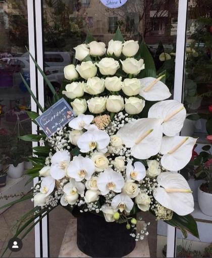 عکس گل فروشی گلکده گل یخ