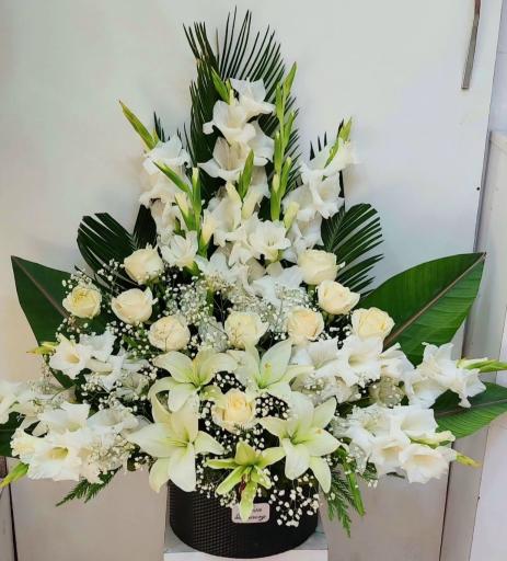 عکس گل فروشی گلکده گل یخ