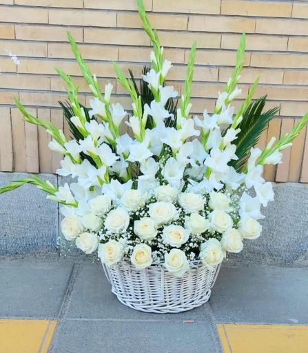 عکس گل فروشی گلکده گل یخ