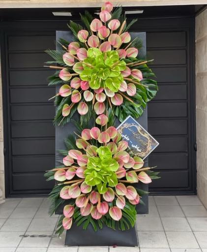 عکس گل فروشی گلکده گل یخ