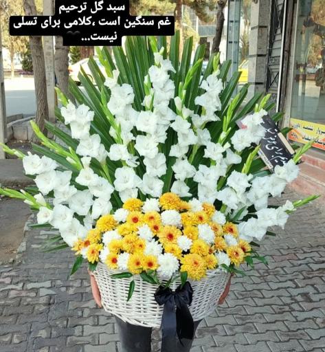 عکس گل فروشی گلکده گل یخ