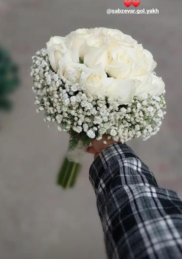 عکس گل فروشی گلکده گل یخ