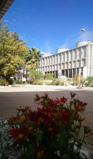 نیروگاه زرند ، شرکت مدیریت تولید برق زرند