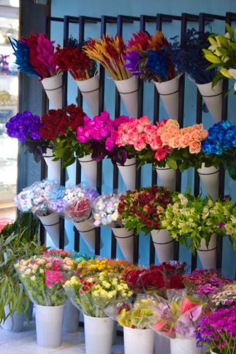 عکس گل فروشی بلو رز