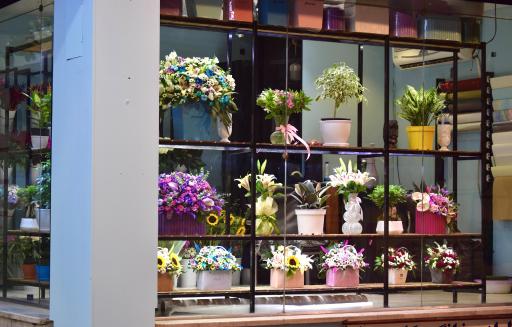 عکس گل فروشی بلو رز