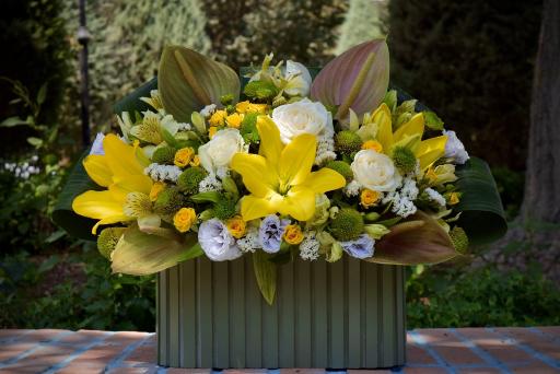 عکس گل فروشی بلو رز