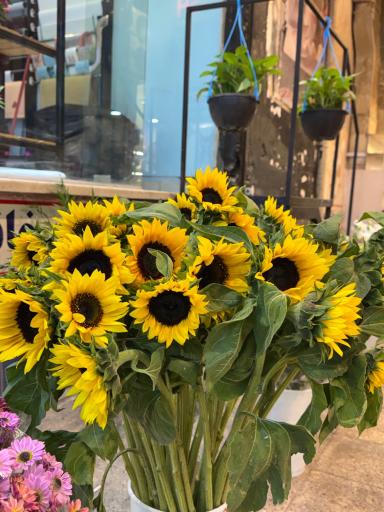 عکس گل فروشی بلو رز