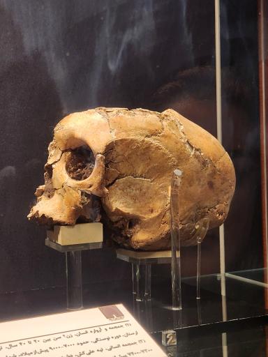 عکس موزه ملی ایران باستان