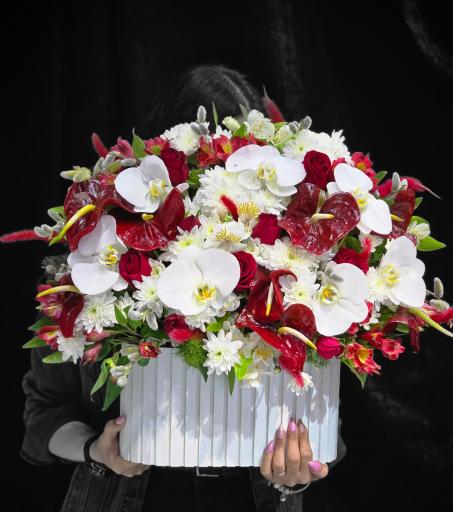 عکس گل فروشی بلو رز