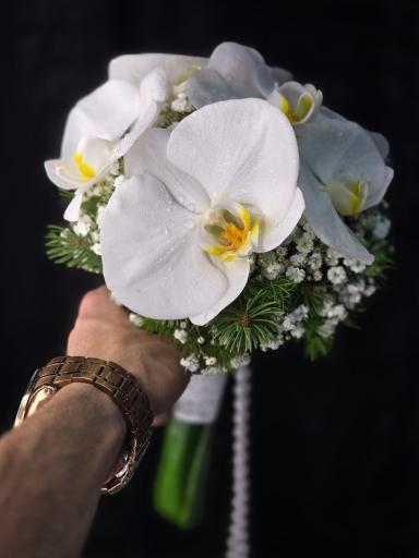 عکس گل فروشی بلو رز