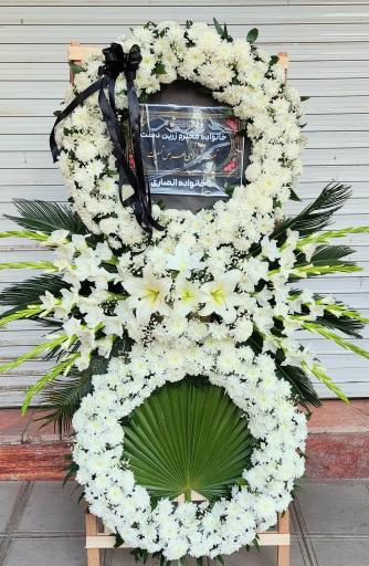 عکس گل فروشی گلکده گل یخ