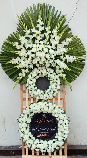 عکس گل فروشی گلکده گل یخ