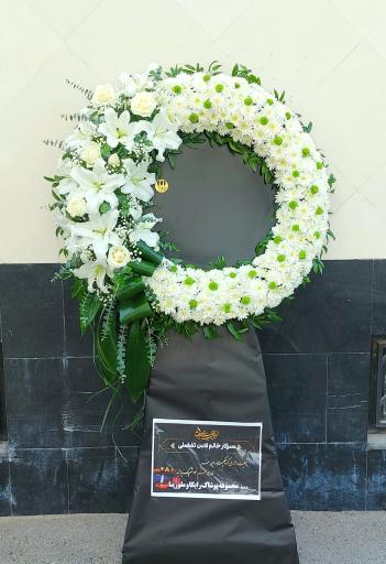 عکس گل فروشی گلکده گل یخ