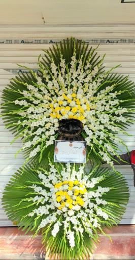 عکس گل فروشی گلکده گل یخ