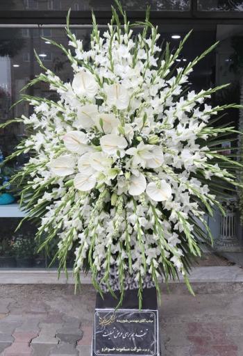 عکس گل فروشی گلکده گل یخ