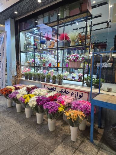 عکس گل فروشی بلو رز