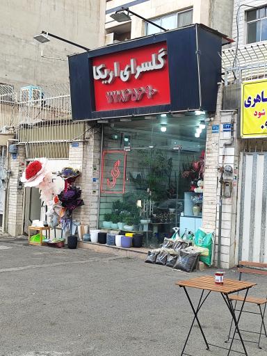 عکس گلسرای اریکا