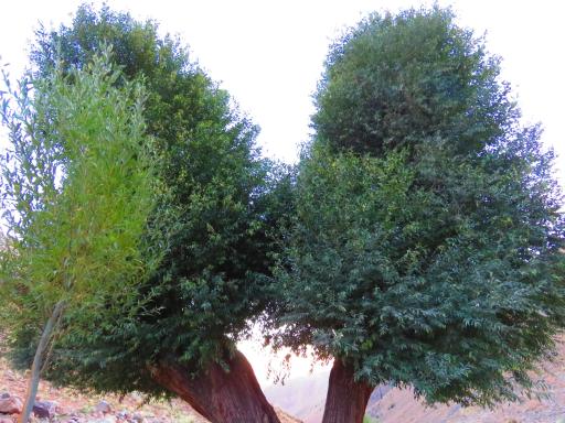 عکس هفت چشمه