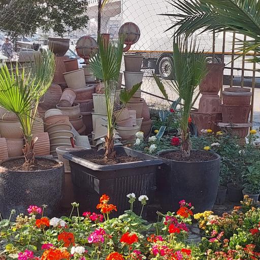 گل فروشی مراد