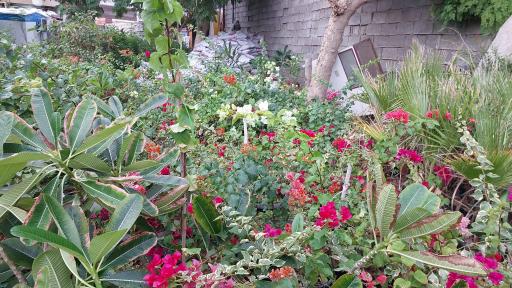 گل فروشی مراد