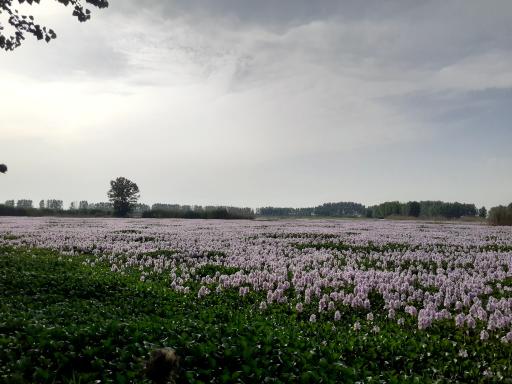 عکس تالاب آغوزبن