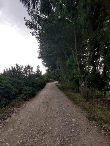 عکس تالاب آغوزبن