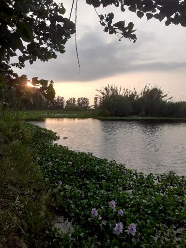 عکس تالاب آغوزبن