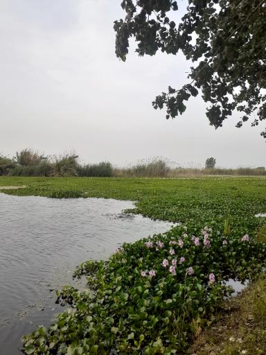 عکس تالاب آغوزبن