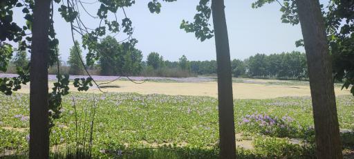 عکس تالاب آغوزبن