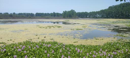 عکس تالاب آغوزبن