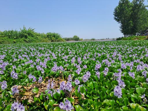 عکس تالاب آغوزبن