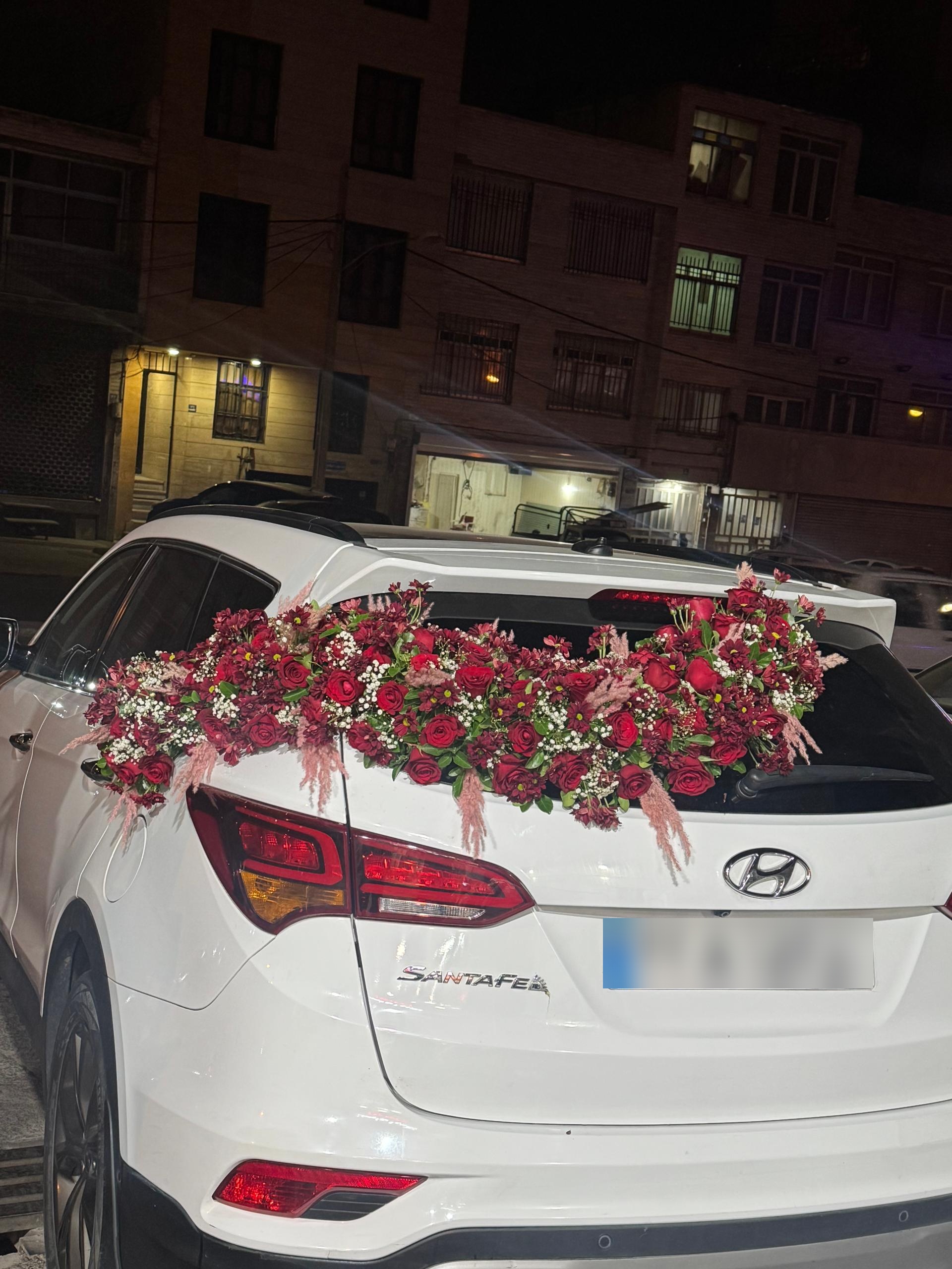 عکس گلسرای اریکا