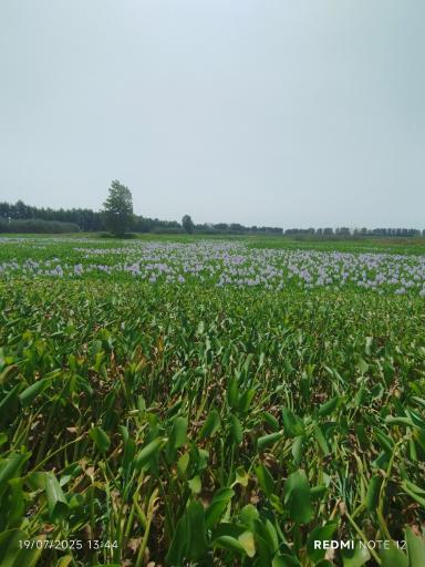 عکس تالاب آغوزبن