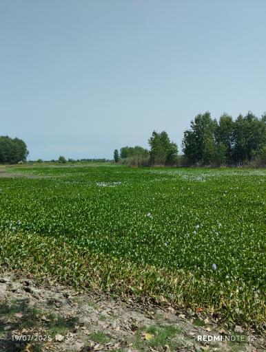 عکس تالاب آغوزبن