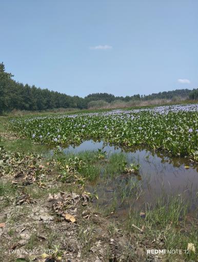 عکس تالاب آغوزبن