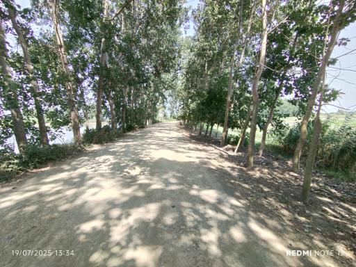 عکس تالاب آغوزبن