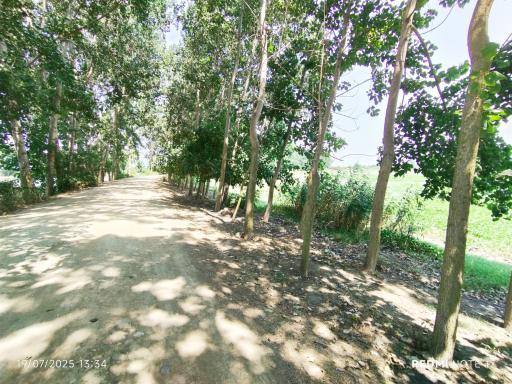 عکس تالاب آغوزبن