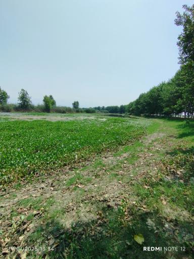 عکس تالاب آغوزبن