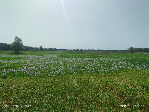 عکس تالاب آغوزبن