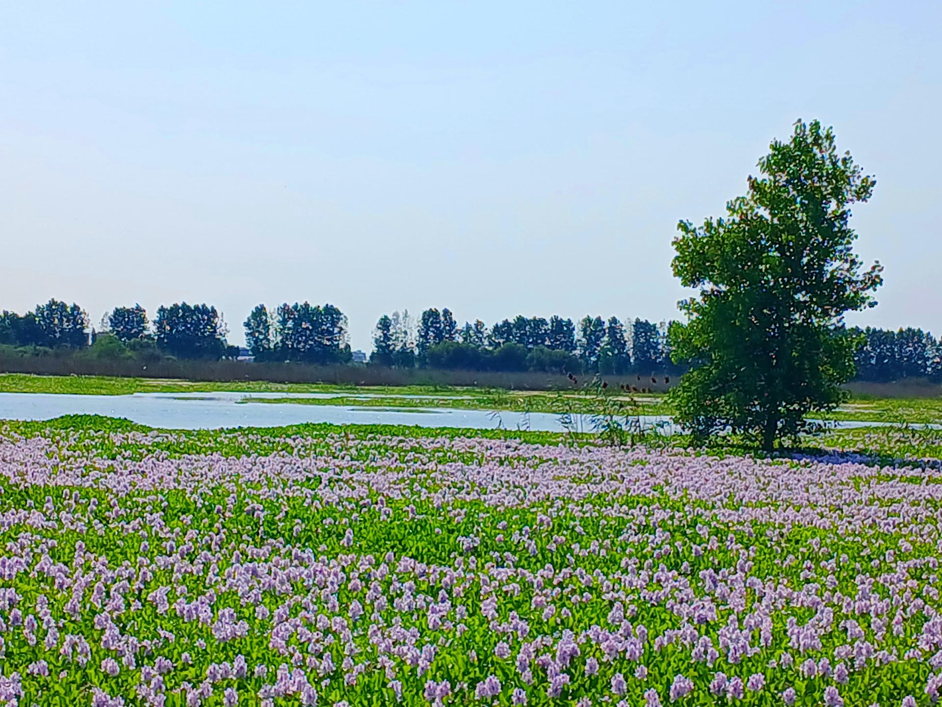 عکس تالاب آغوزبن