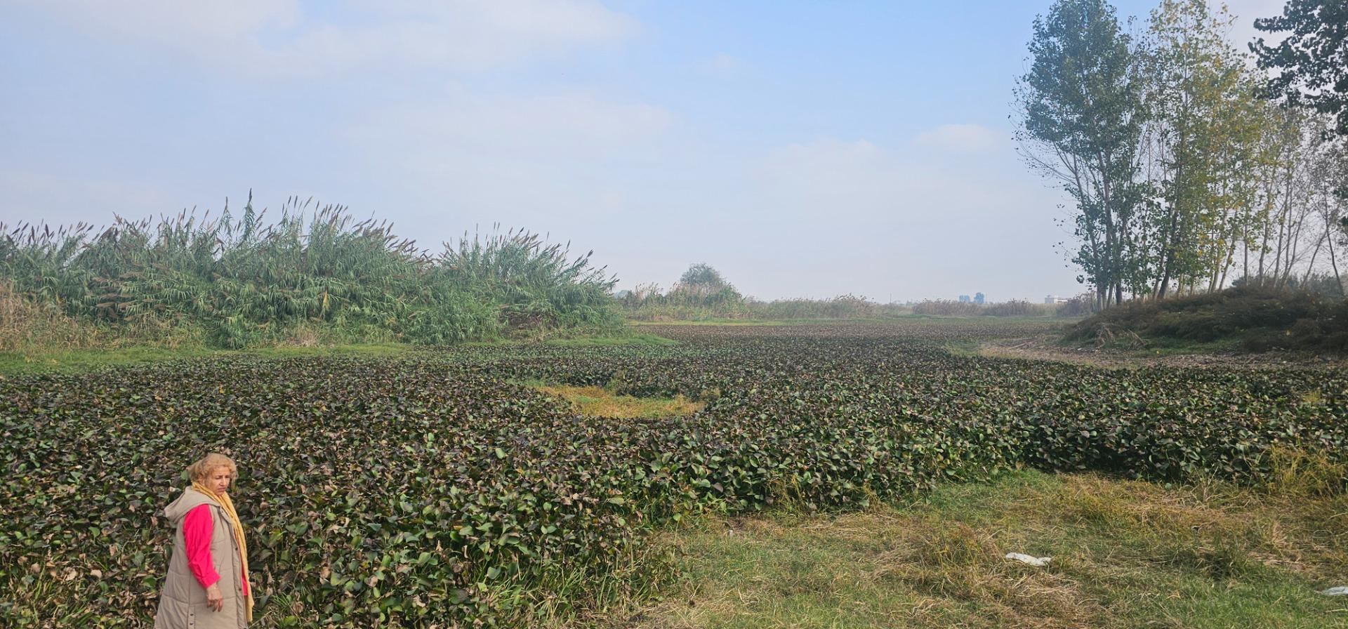 عکس تالاب آغوزبن