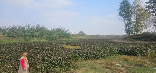 عکس تالاب آغوزبن