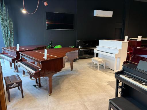عکس گالری پیانو ملودیکا
