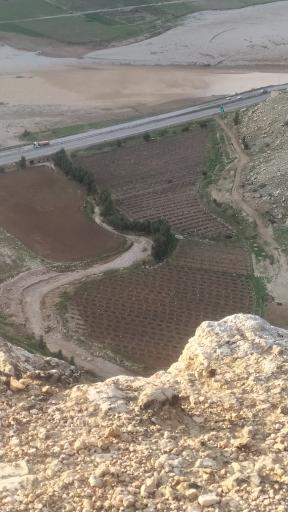 عکس باغ علی میرزاوند