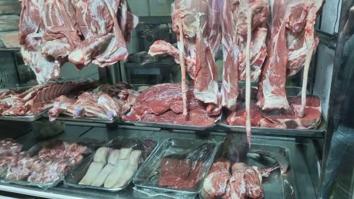 عکس پروتئین مرتضی