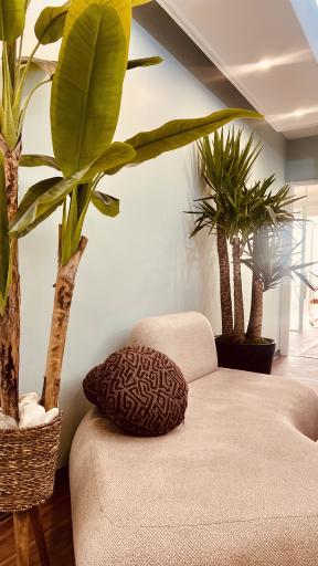 عکس سالن زیبایی الهه طبیعت