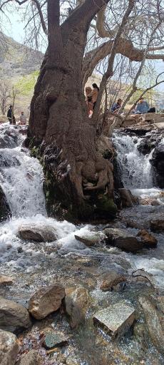 عکس تفرجگاه سراب گیان