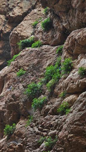 عکس آبشار هفت رنگ مجن