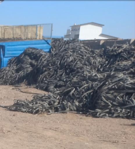 عکس مرکز خرید ضایعات نوار تیپ کشاورزی